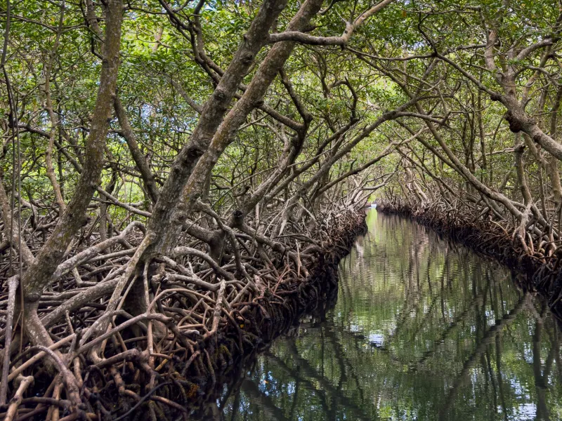 Paddle, Protect, Repeat: How Phu Quoc and Phan Thiết Are Turning Eco-Tourism Into a Conservation Movement