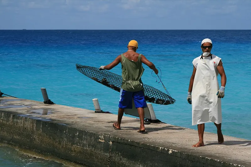 Oysters, Luster, and Legacy: What Phu Quoc's Pearl Farms Don't Tell You on the Brochure