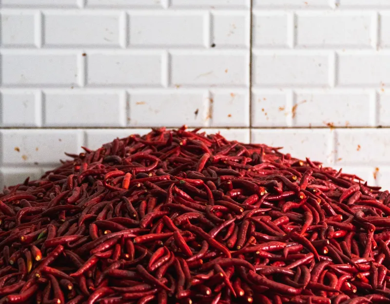 Seasoned by History: How Phu Quoc and Phan Thiết Are Putting Ancient Spice Routes Back on the Map