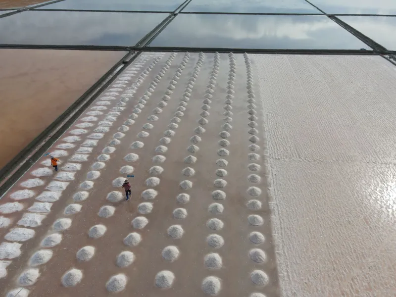 White Gold and Ocean Flavor: The Salt Farmers Quietly Shaping Phan Thiết's Table